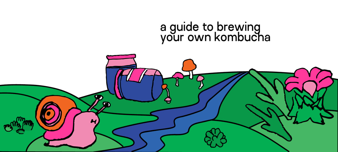 a guide to brewing your own kombucha