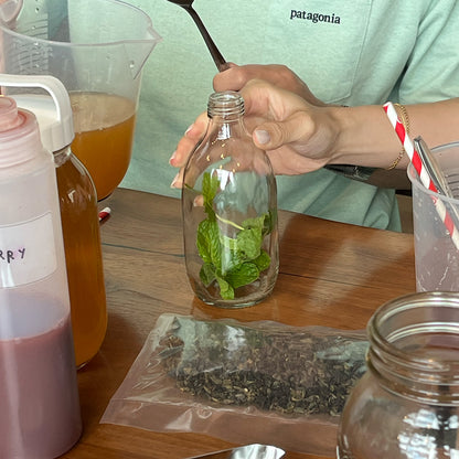 Kombucha Workshop (Classes on Saturday!)