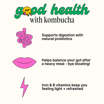 Kombucha Party Pack